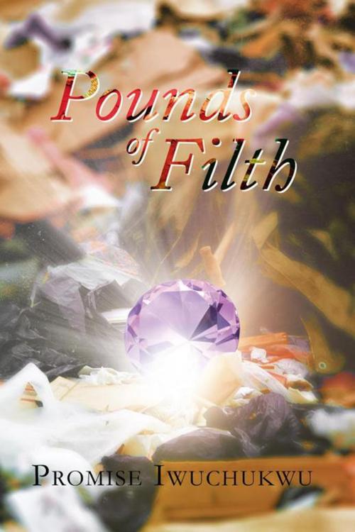 Cover of the book Pounds of Filth by Promise Iwuchukwu, Xlibris UK