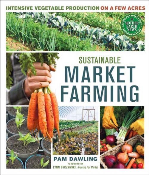 Cover of the book Sustainable Market Farming by Pam Dawling, New Society Publishers