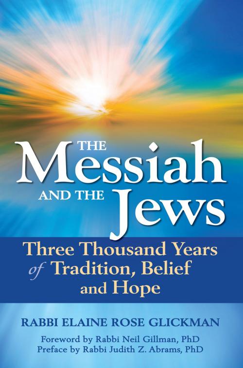Cover of the book The Messiah and the Jews by Rabbi Elaine Rose Glickman, Rabbi Judith Z. Abrams, PhD, Jewish Lights Publishing