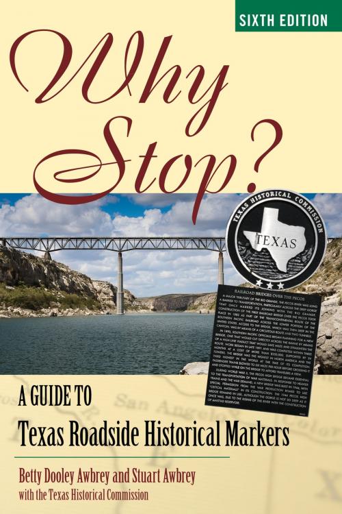 Cover of the book Why Stop? by , Taylor Trade Publishing