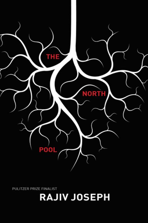 Cover of the book The North Pool by Rajiv Joseph, Soft Skull Press