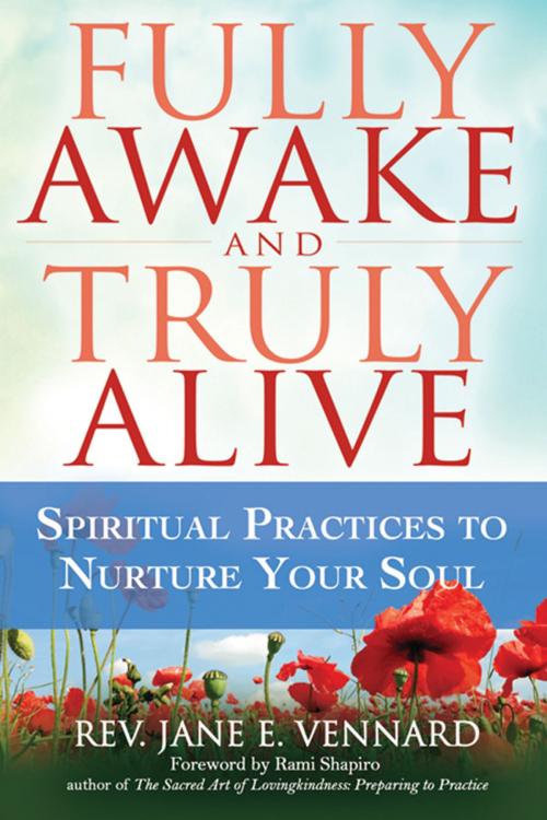 Cover of the book Fully Awake and Truly Alive by Rev. Jane E. Vennard, SkyLight Paths Publishing