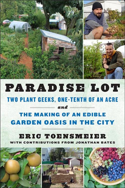Cover of the book Paradise Lot by Eric Toensmeier, Jonathan Bates, Chelsea Green Publishing