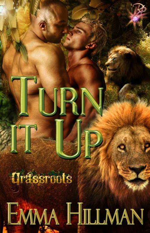 Cover of the book Turn It Up by Emma Hillman, Resplendence Publishing, LLC