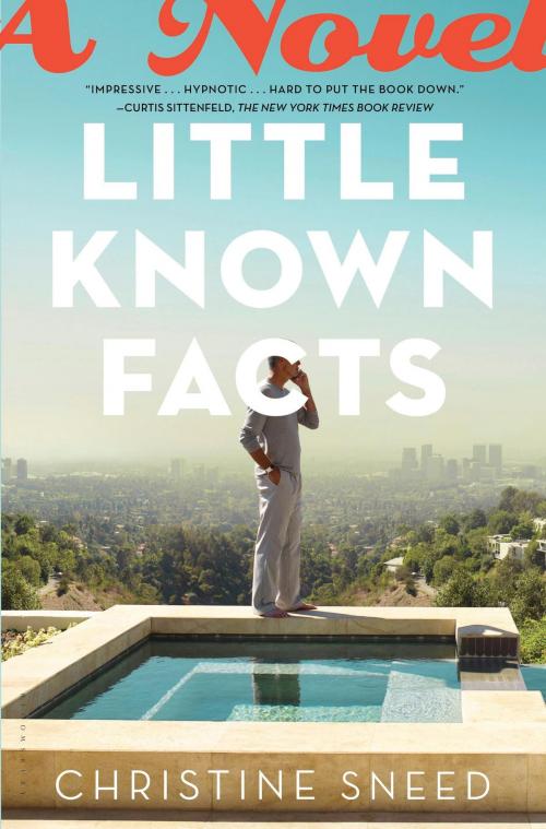Cover of the book Little Known Facts by Christine Sneed, Bloomsbury Publishing