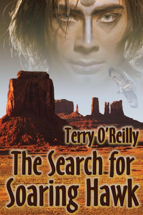 Cover of the book The Search for Soaring Hawk by Terry O'Reilly, JMS Books LLC