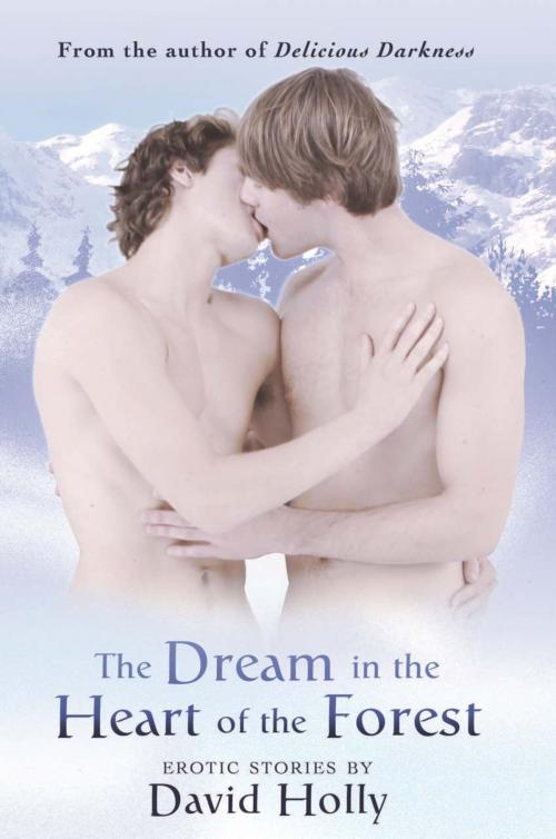 Cover of the book The Dream in the Heart of the Forest by David Holly, STARbooks Press