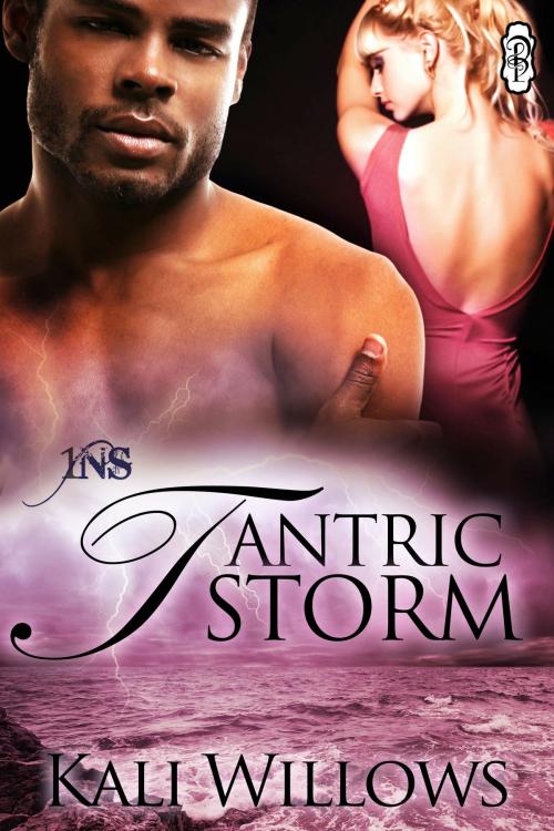 Cover of the book Tantric Storm by Kali Willlows, Decadent Publishing