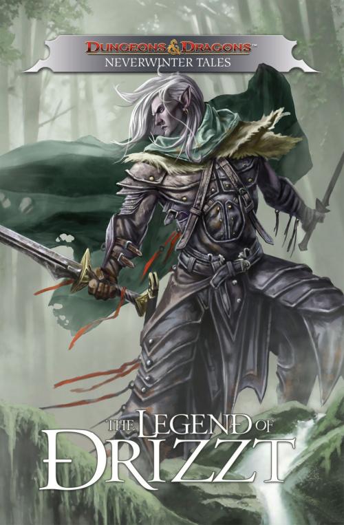 Cover of the book Dungeons & Dragons: Drizzt - Neverwinter Tales by Salvatore, R.A.; Salvatore, Geno; Padilla, Agustin, IDW Publishing