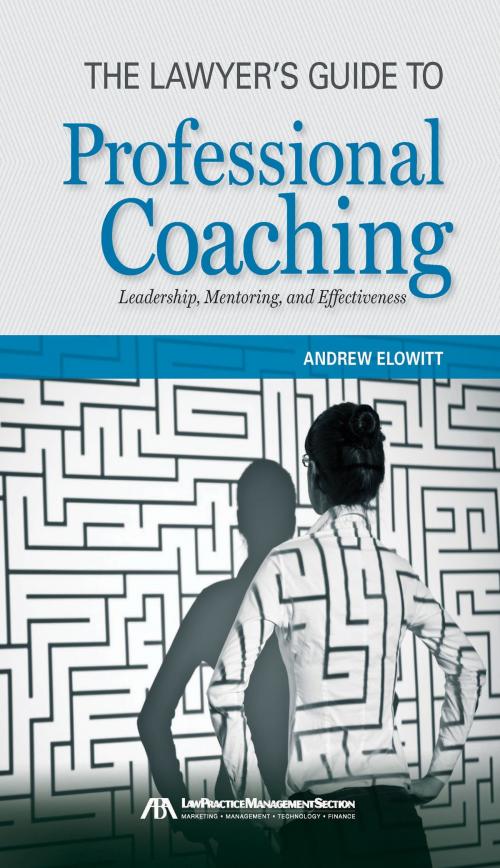 Cover of the book The Lawyer's Guide to Professional Coaching by Andrew Elowitt, American Bar Association