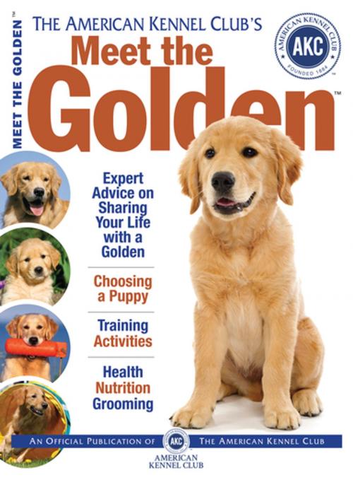 Cover of the book Meet the Golden by American Kennel Club, CompanionHouse Books