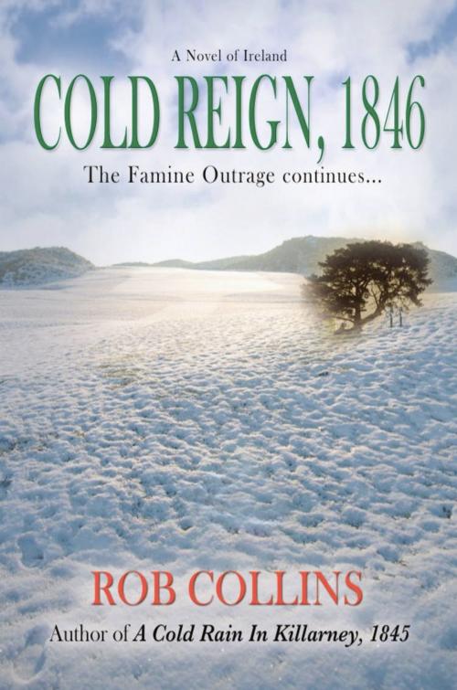 Cover of the book COLD REIGN, 1846 by Rob Collins, BookLocker.com, Inc.