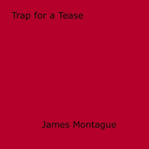 Cover of the book Trap for a Tease by James Montague, Disruptive Publishing