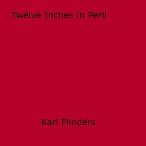 Cover of the book Twelve Inches in Peril by Karl Flinders, Disruptive Publishing