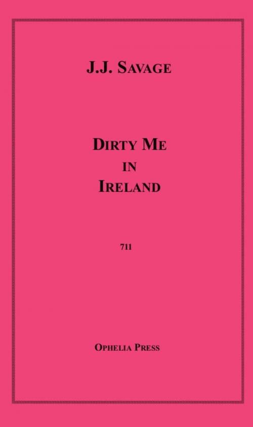 Cover of the book Dirty Me in Ireland by J.J. Savage, Disruptive Publishing