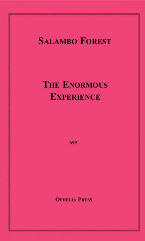 Cover of the book The Enormous Experience by Salambo Forest, Disruptive Publishing