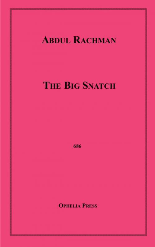 Cover of the book The Big Snatch by Abdul Rachman, Disruptive Publishing