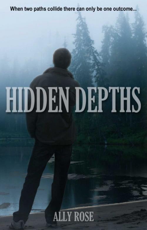 Cover of the book Hidden Depths by Ally Rose, Accent Press
