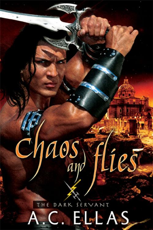 Cover of the book Chaos and Flies by A.C. Ellas, eXtasy Books Inc