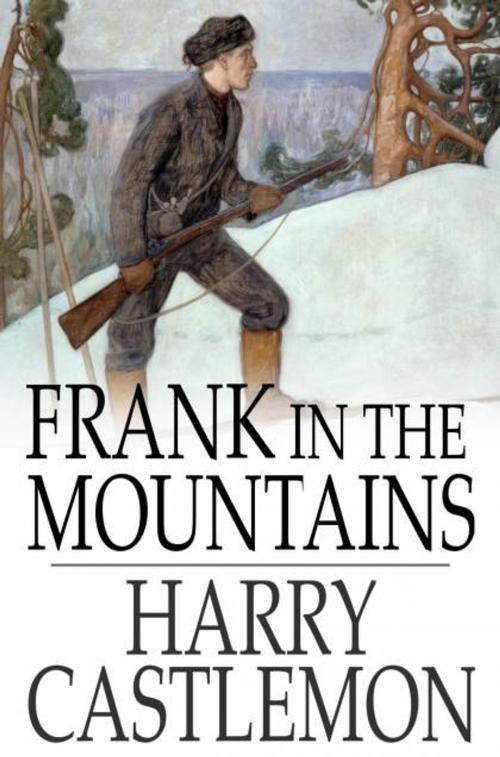 Cover of the book Frank in the Mountains by Harry Castlemon, The Floating Press