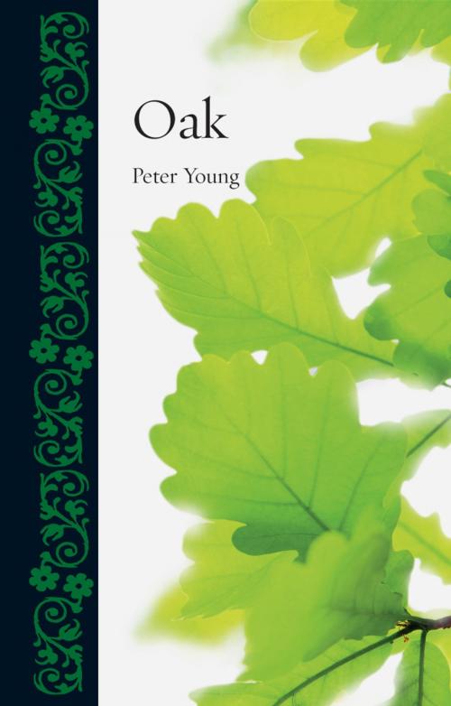 Cover of the book Oak by Peter Young, Reaktion Books