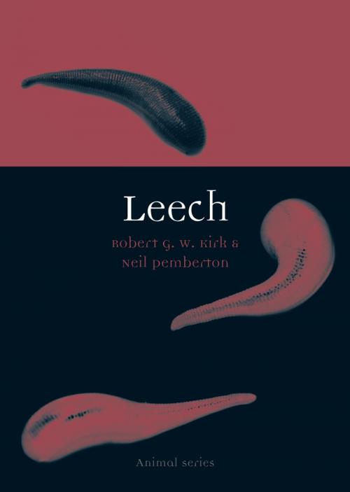 Cover of the book Leech by Robert G. W. Kirk, Neil Pemberton, Reaktion Books