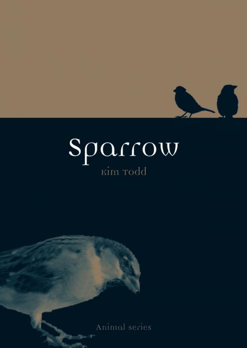 Cover of the book Sparrow by Kim Todd, Reaktion Books