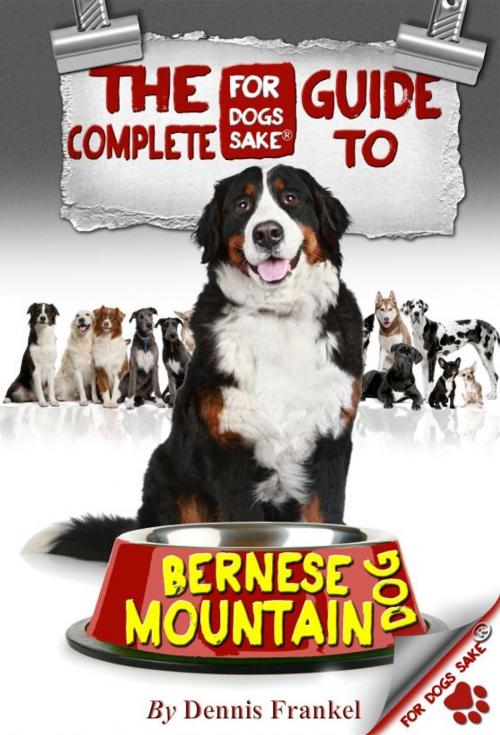 Cover of the book The Complete Guide to Bernese Mountain Dogs by Dennis Frankel, For Dogs Sake!