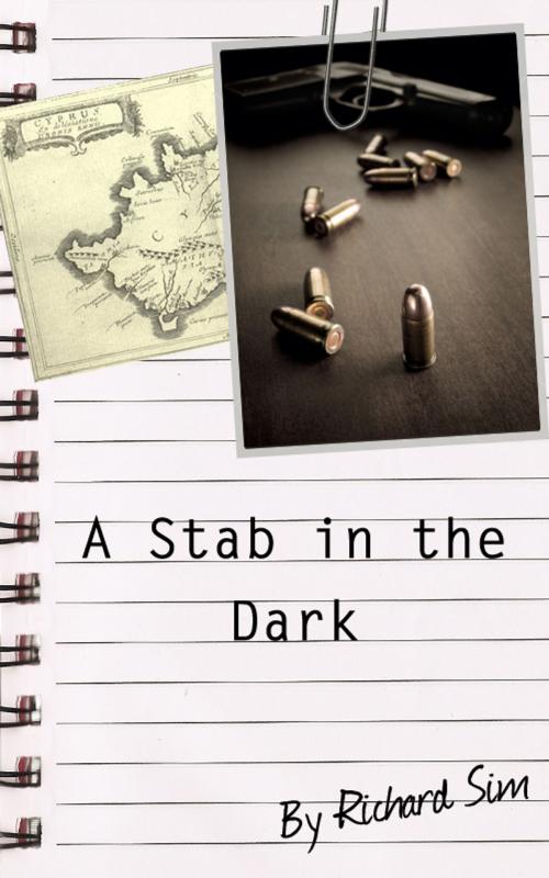 Cover of the book A Stab in the Dark by Richard Sim, Create Digital Publishing