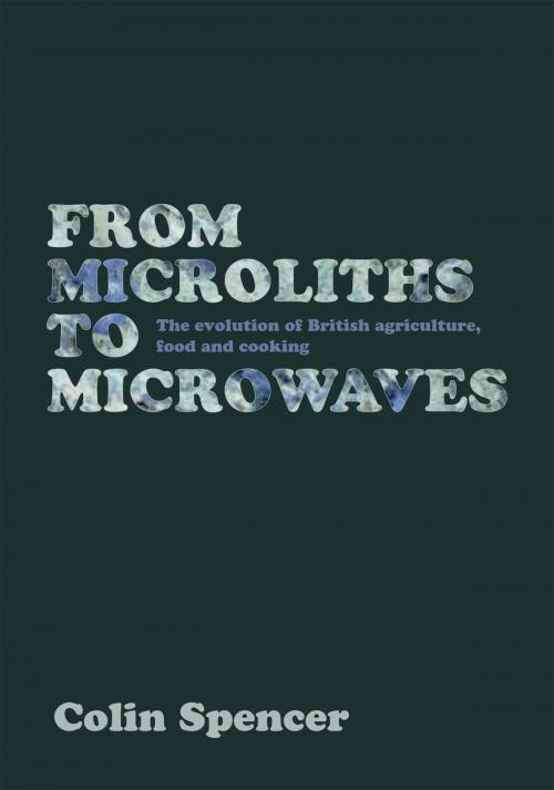 Cover of the book From Microliths to Microwaves by Colin Spencer, Grub Street Cookery