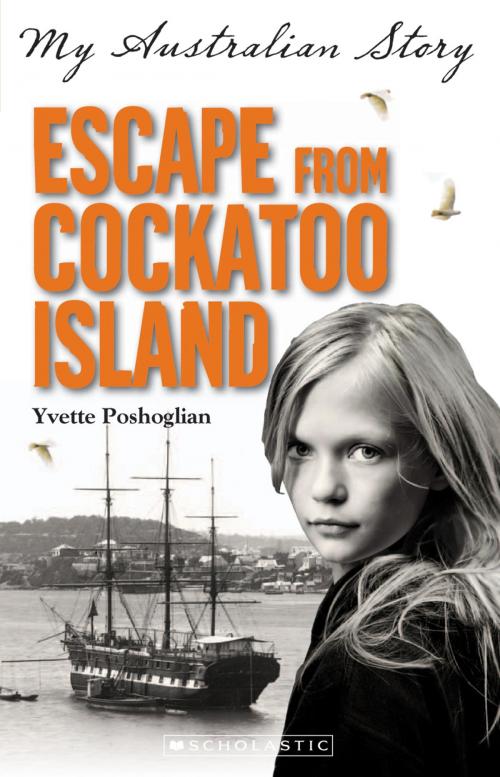Cover of the book Escape from Cockatoo Island by Yvette Poshoglian, Scholastic Australia