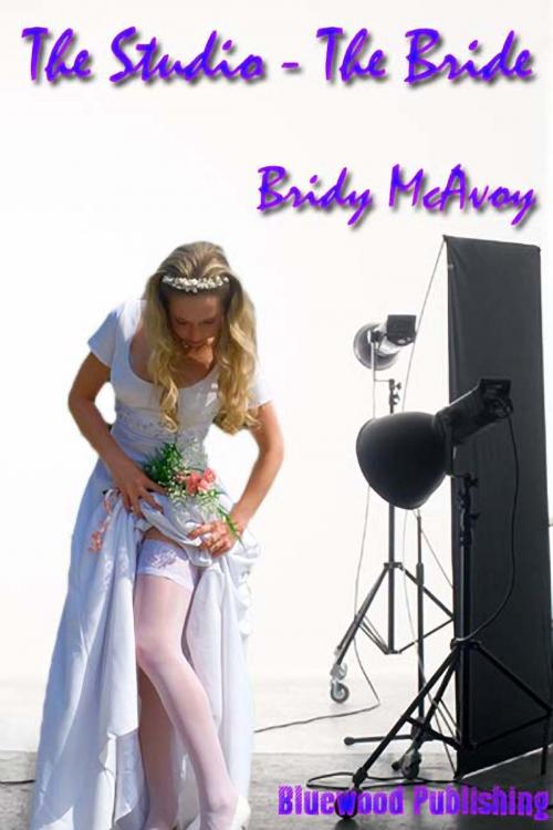 Cover of the book The Studio 5: The Bride by Bridy McAvoy, Bluewood Publishing