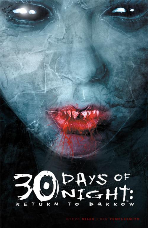 Cover of the book 30 Days of Night: Return to Barrow by Steve Niles, Ben Templesmith, IDW Publishing