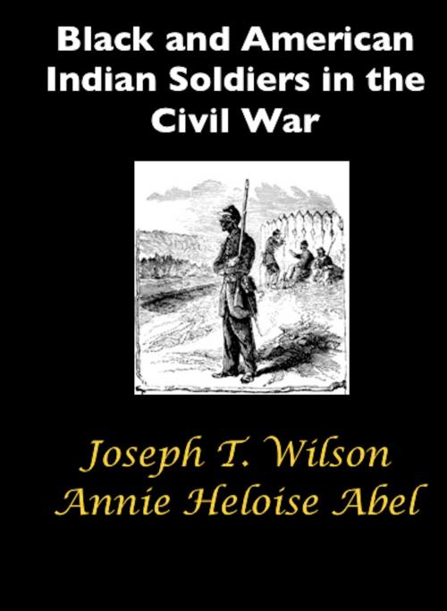 Cover of the book Black and American Indian Soldiers in the Civil War by Joseph T. Wilson, Annie Heloise Abel, AfterMath