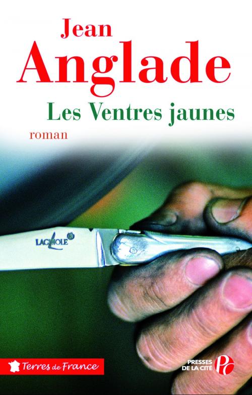 Cover of the book Les ventres jaunes by Jean ANGLADE, Place des éditeurs