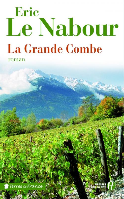 Cover of the book La Grande Combe by Eric LE NABOUR, Place des éditeurs