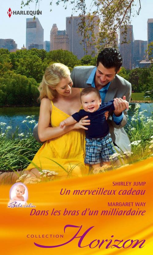 Cover of the book Un merveilleux cadeau - Dans les bras d'un milliardaire by Shirley Jump, Margaret Way, Harlequin