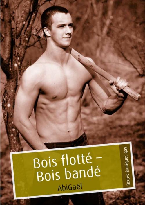 Cover of the book Bois flotté - Bois bandé (pulp gay) by AbiGaël, Éditions Textes Gais