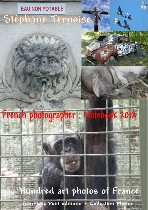Cover of the book French photographer: Notebook 2012 by Stéphane Ternoise, Jean-Luc PETIT Editions