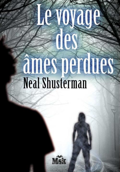 Cover of the book Le voyage des âmes perdues by Neal Shusterman, Le Masque