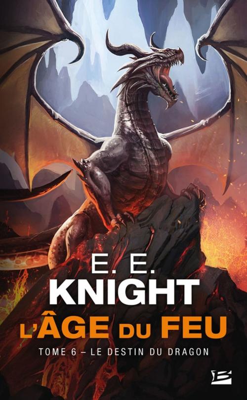 Cover of the book Le Destin du dragon by E.E. Knight, Bragelonne