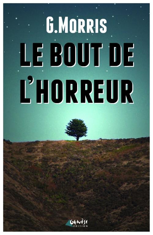 Cover of the book Le bout de l'horreur by G Morris, Numérique