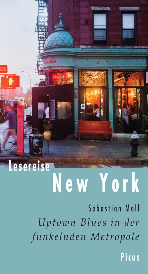 Cover of the book Lesereise New York by Sebastian Moll, Picus Verlag
