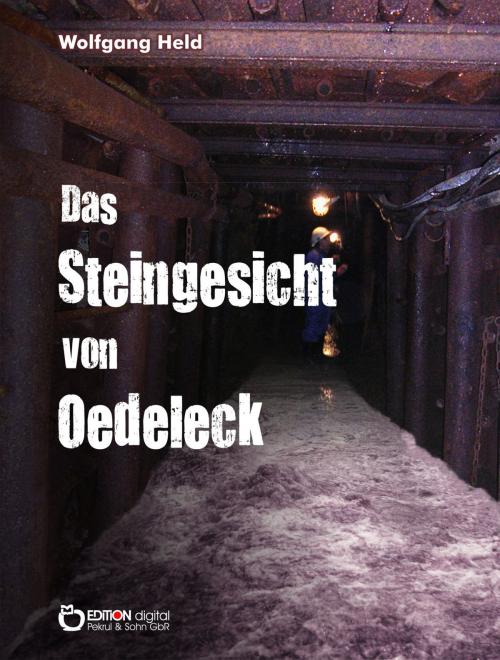 Cover of the book Das Steingesicht von Oedeleck by Wolfgang Held, EDITION digital
