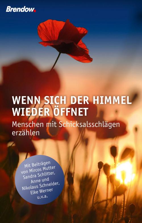Cover of the book Wenn sich der Himmel wieder öffnet by Susanne Hübscher, Nicolas Koch, Brendow, J