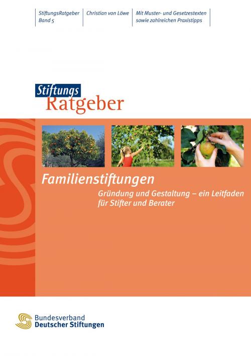 Cover of the book Familienstiftungen by Christian von Löwe, Bundesverband Deutscher Stiftungen e.V.
