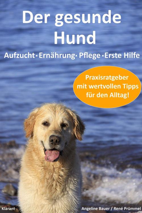 Cover of the book Der gesunde Hund. Hunde Praxisratgeber mit wertvollen Tipps: Hundeerziehung, Hundeernährung, Hundepflege und Erste Hilfe by Angeline Bauer, René Prümmel, Klarant