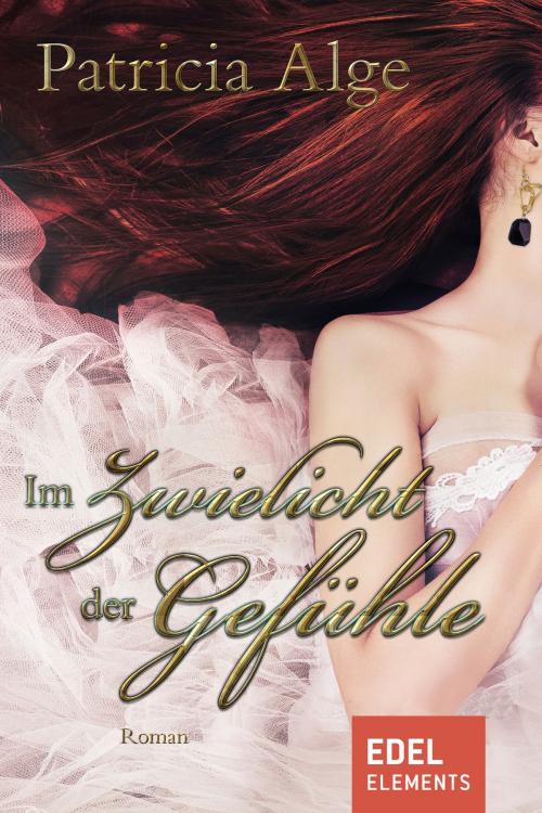 Cover of the book Im Zwielicht der Gefühle by Patricia Alge, Edel Elements