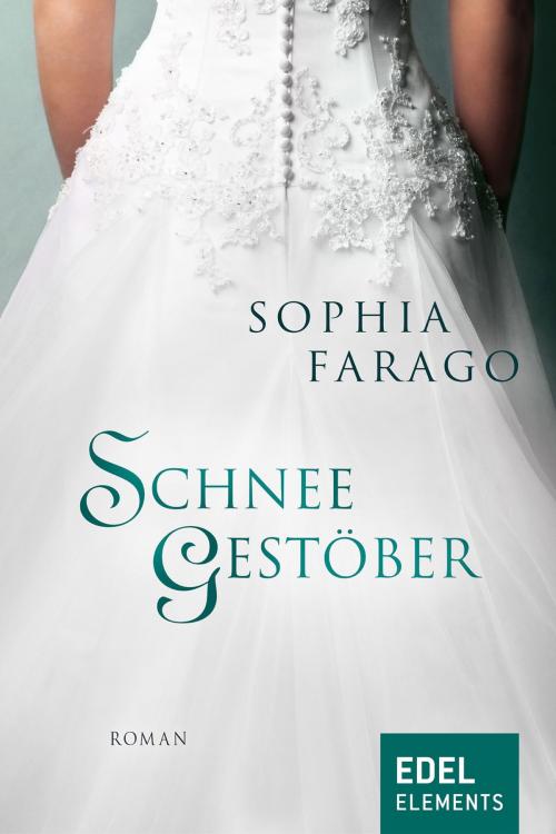 Cover of the book Schneegestöber by Sophia Farago, Edel Elements