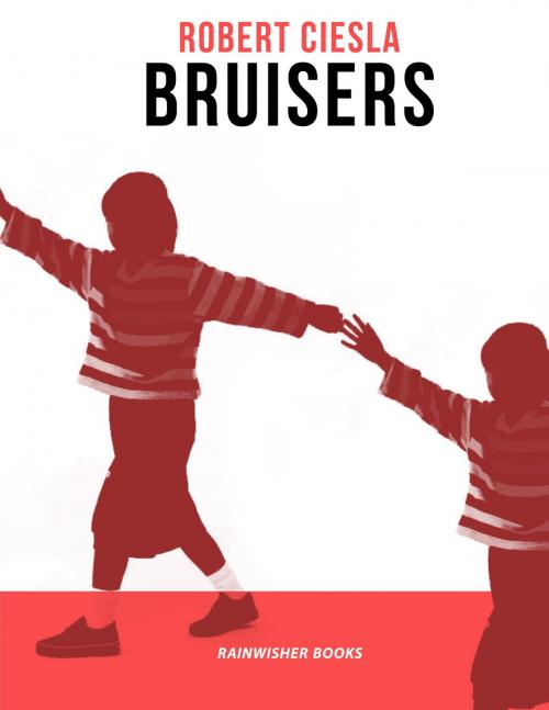 Cover of the book Bruisers by Robert Ciesla, Rainwisher Books